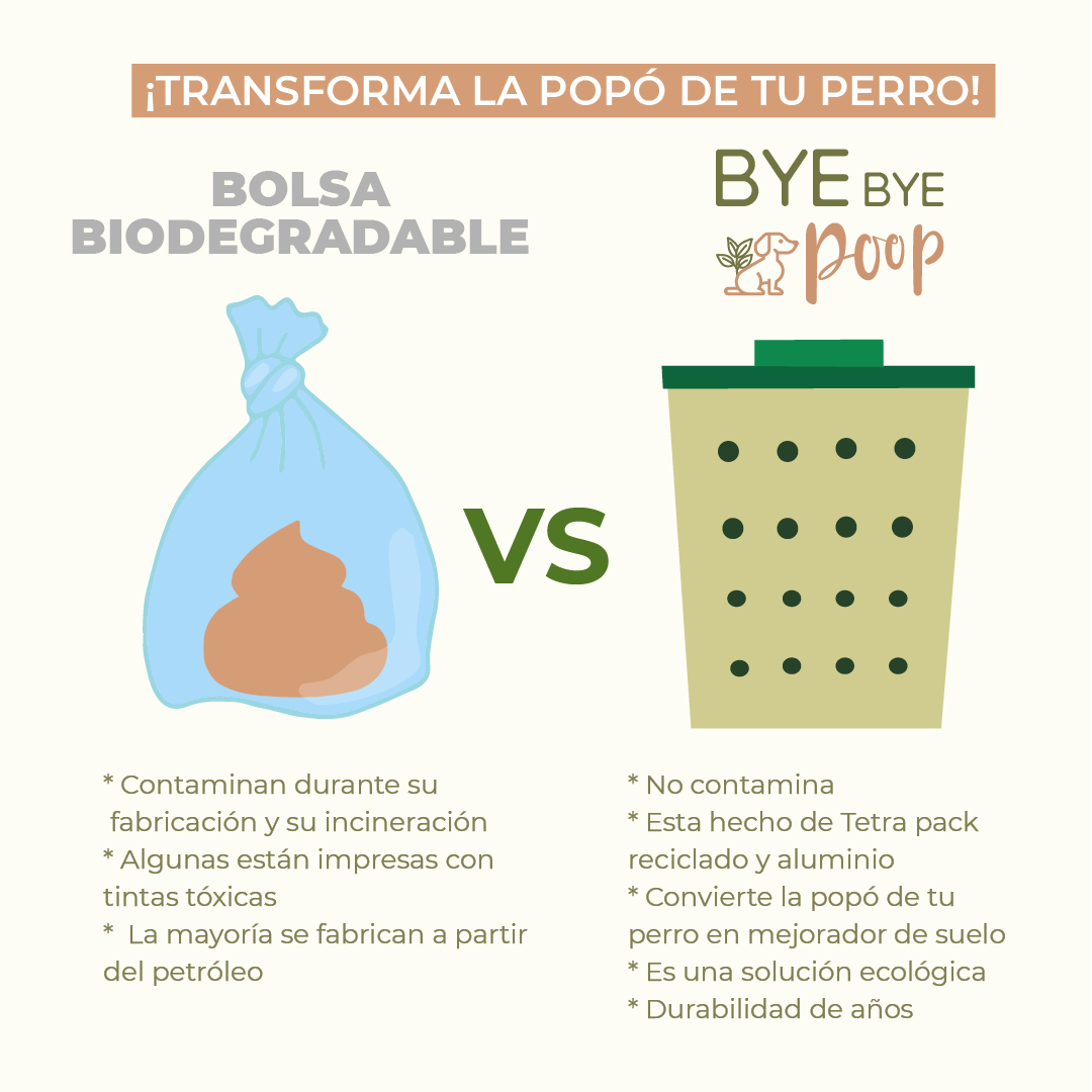 ¿A dónde va la popó de tu perro y por qué importa?